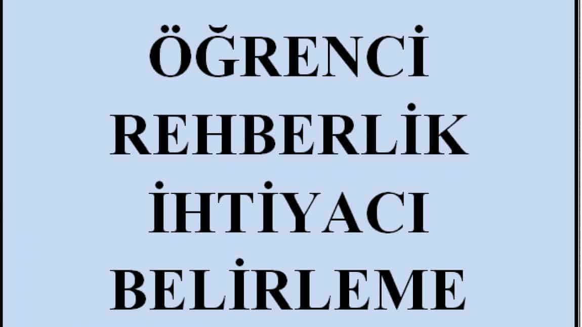 ogrenci rehberlik ihtiyaci belirleme anketi riba